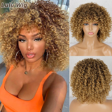 Women Afro Kinky Curly Wig